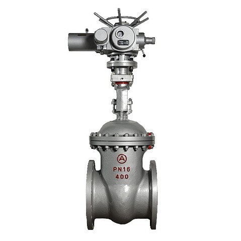 Задвижка стальная 30с941нж DN 600 PN 16 фланцевая под привод тип Г, класс ''А'' L=800мм САЗ АВАНГАРД купить в Екатеринбурге | "Проконсим"