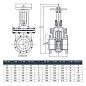 Задвижка чугунная 30ч6бр DN 200 PN 10 фланцевая параллельная ЛМЗ Семенов купить в Екатеринбурге | "Проконсим"