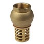 Клапан приёмный (донный)  MVI CV.630.06, DN 25 PN 16, латунный, пружинный, муфтовый купить в Екатеринбурге | "Проконсим"