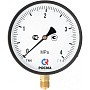 Манометр Росма ТМ-610Р 4,0 МПа /40 ат 150мм G1/2'' купить в Екатеринбурге | "Проконсим"