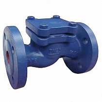 Клапаны обратные подъемные DN 15-200 PN 16 чугунные фланцевые до 250гр. АСТА ОК113 купить в Екатеринбурге | "Проконсим"