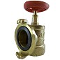 Клапан пожарный латунный КПАЛ DN 50 PN 16 угловой 90гр. муфта-соединительная головка Апогей купить в Екатеринбурге | "Проконсим"