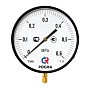 Манометр Росма ТМ-810Р.00 котловый, 250мм, 0-0.25МПа, резьба M20x1,5, радиальный, класс точности 1,5 купить в Екатеринбурге | "Проконсим"