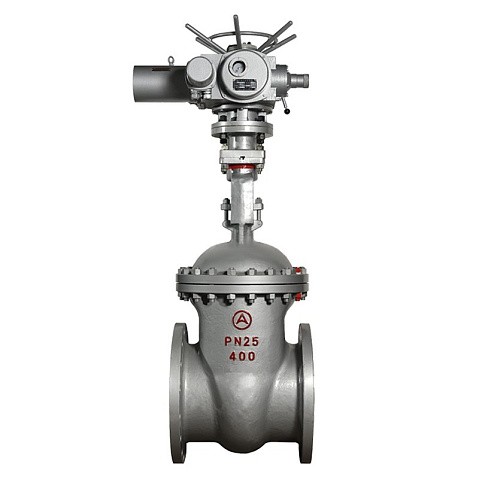 Задвижка стальная 30с964нж DN 600 PN 25 фланцевая под привод тип Г, класс ''А'' L=800мм САЗ АВАНГАРД купить в Екатеринбурге | "Проконсим"