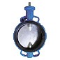 Затвор дисковый поворотный DN 250 PN 16 межфланцевый с диском из чугуна со штоком Seagull купить в Екатеринбурге | "Проконсим"