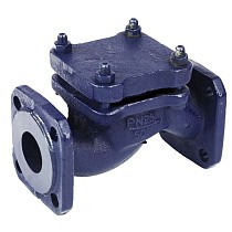 Клапаны обратные 16кч9нж подъёмные DN32-80 PN25 нержавеющая сталь фланцевые до 300гр. ЛУИДОР купить в Екатеринбурге | "Проконсим"