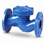 Клапан обратный подъемный фланцевый FAF 2250, DN 100, PN 16 корпус-чугун, диск-нержавеющаясталь, уплотнение-нержавеющая сталь купить в Екатеринбурге | "Проконсим"
