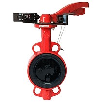 Затворы чугунные дисковые DN 50-250 PN 16 межфланцевые с концевиками и чугунным диском рычаг РАШВОРК купить в Екатеринбурге | "Проконсим"