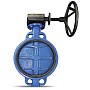 Затвор дисковый поворотный DN 350 PN 16 чугунный с диском из нержавеющей стали межфланцевый редуктор FAF 3500350D купить в Екатеринбурге | "Проконсим"