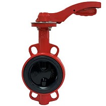 Затворы чугунные дисковые DN 50-100 PN 16 с электроприводом 24В и чугунным диском РАШВОРК купить в Екатеринбурге | "Проконсим"
