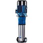 Насос многоступенчатый вертикальный CNP CDMF3-14LSWSC 1,5 кВт 3х220В/3х380В нержавеющая сталь трубная резьба НР 1 1/4 PN 25 70гр. купить в Екатеринбурге | "Проконсим"